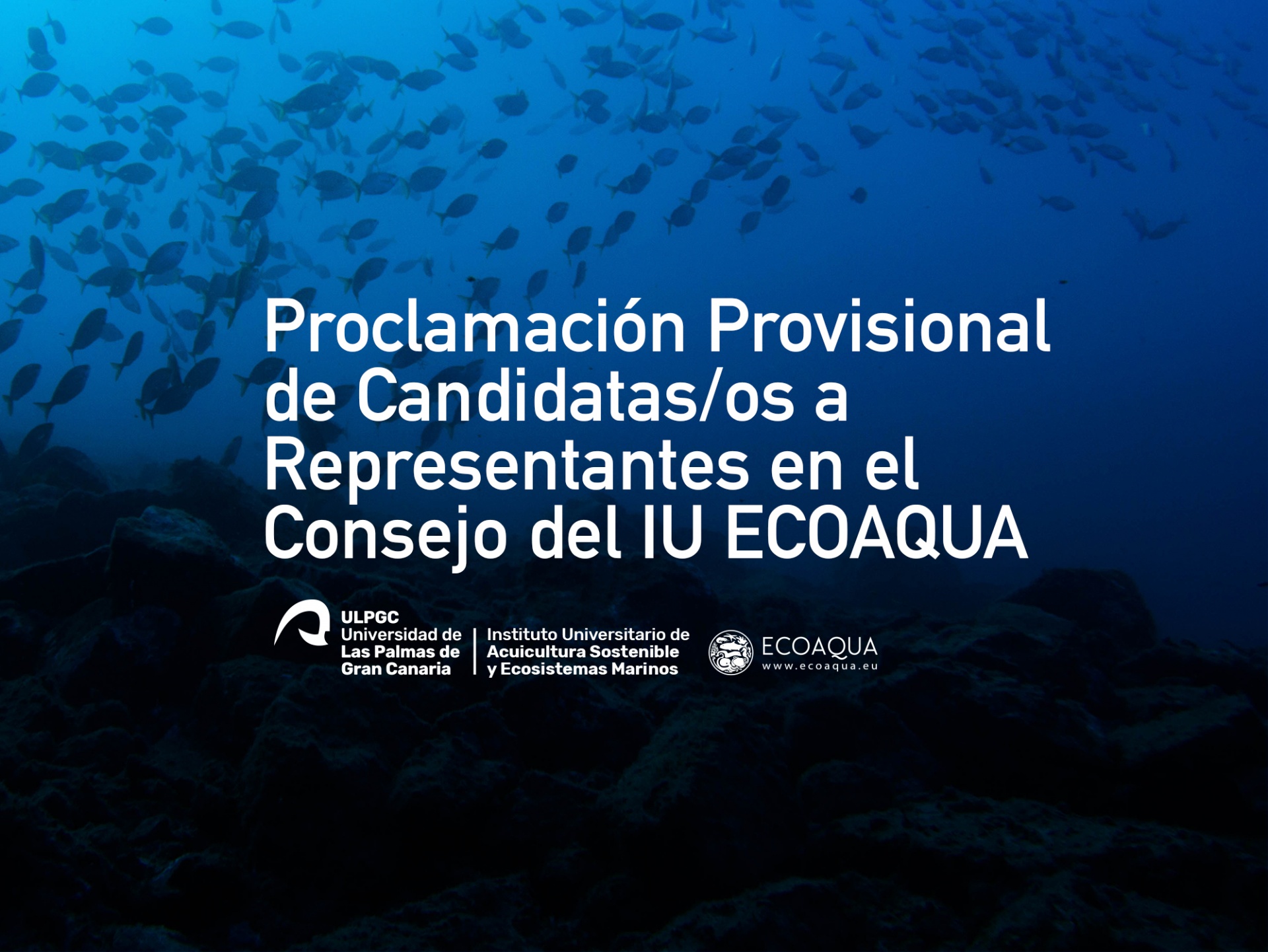 Proclamación Definitiva de Candidatas/os a Representantes en el Consejo del IU ECOAQUA