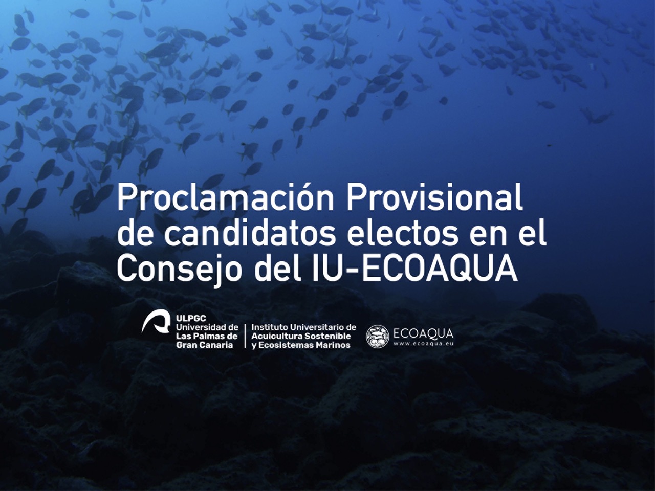 Proclamación provisional del candidato electo a Director del IU-ECOAQUA