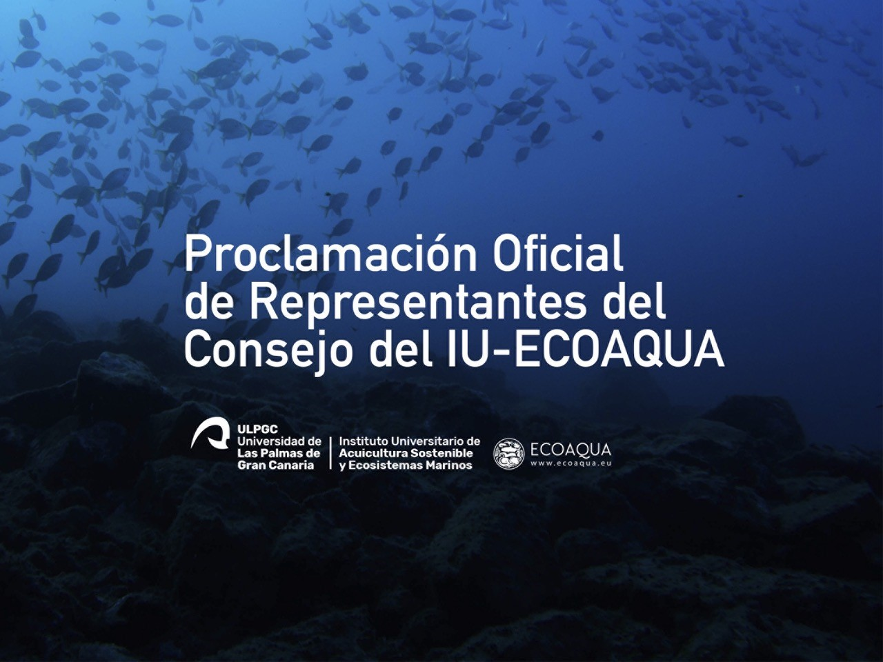 Final proclamation of the elected candidate for Director of the IU-ECOAQUA