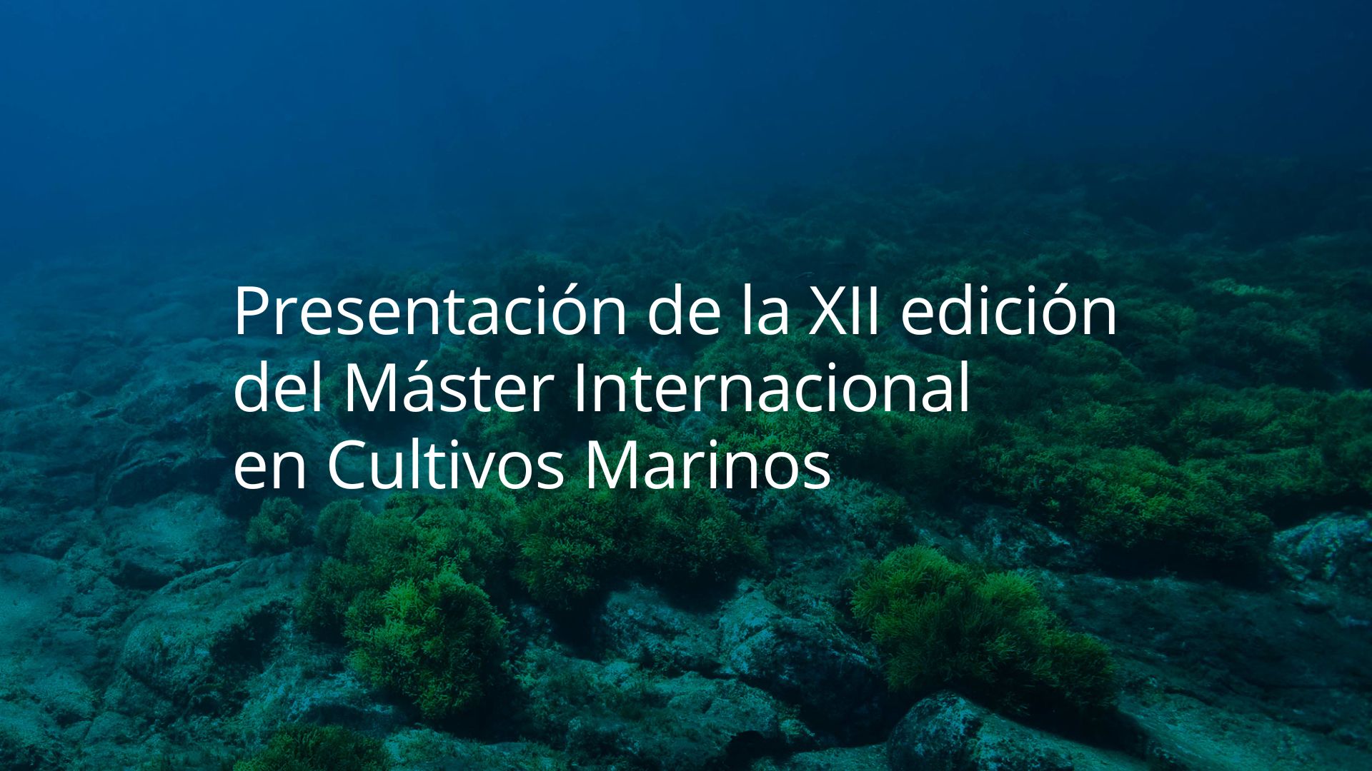 Presentation of the XII edition of the International Master's Degree in Marine Cultures