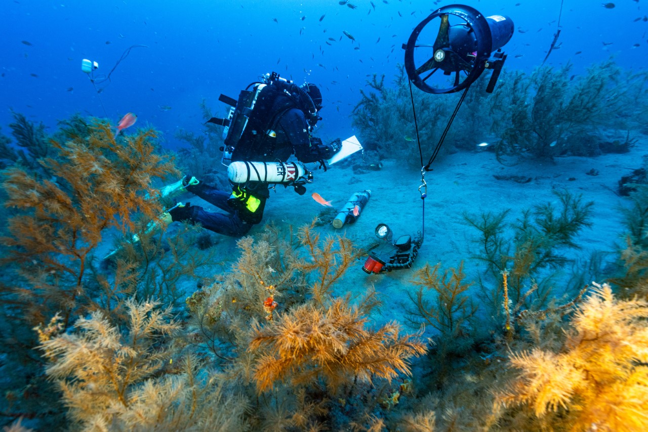 La investigación del coral negro de Playa Chica, en Lanzarote, atrae a la televisión nacional francesa   