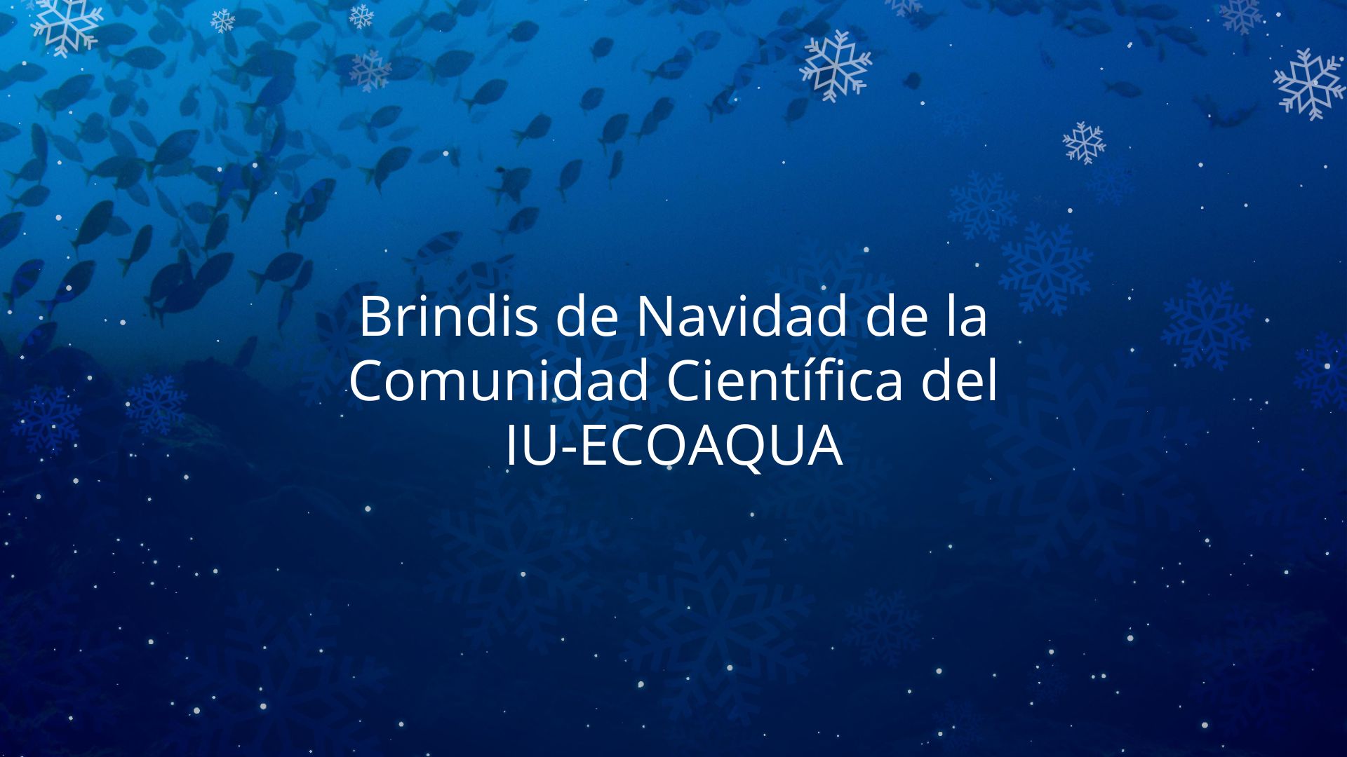 Brindis de Navidad de la Comunidad Científica del IU-ECOAQUA