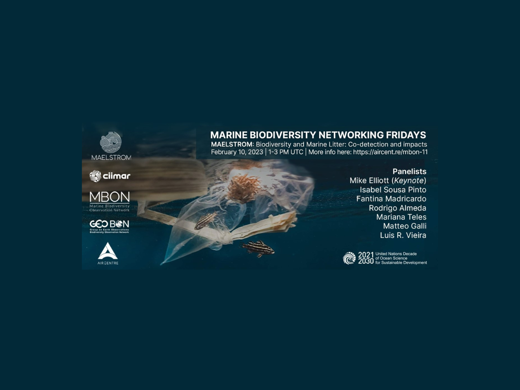 Marine Biodiversity Networking Fridays