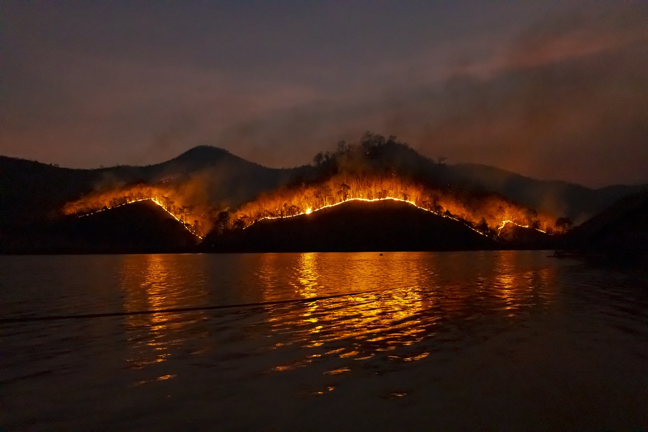 Una investigación del CSIC, en la que colabora ECOAQUA, analiza el impacto de los incendios forestales en los ecosistemas marinos