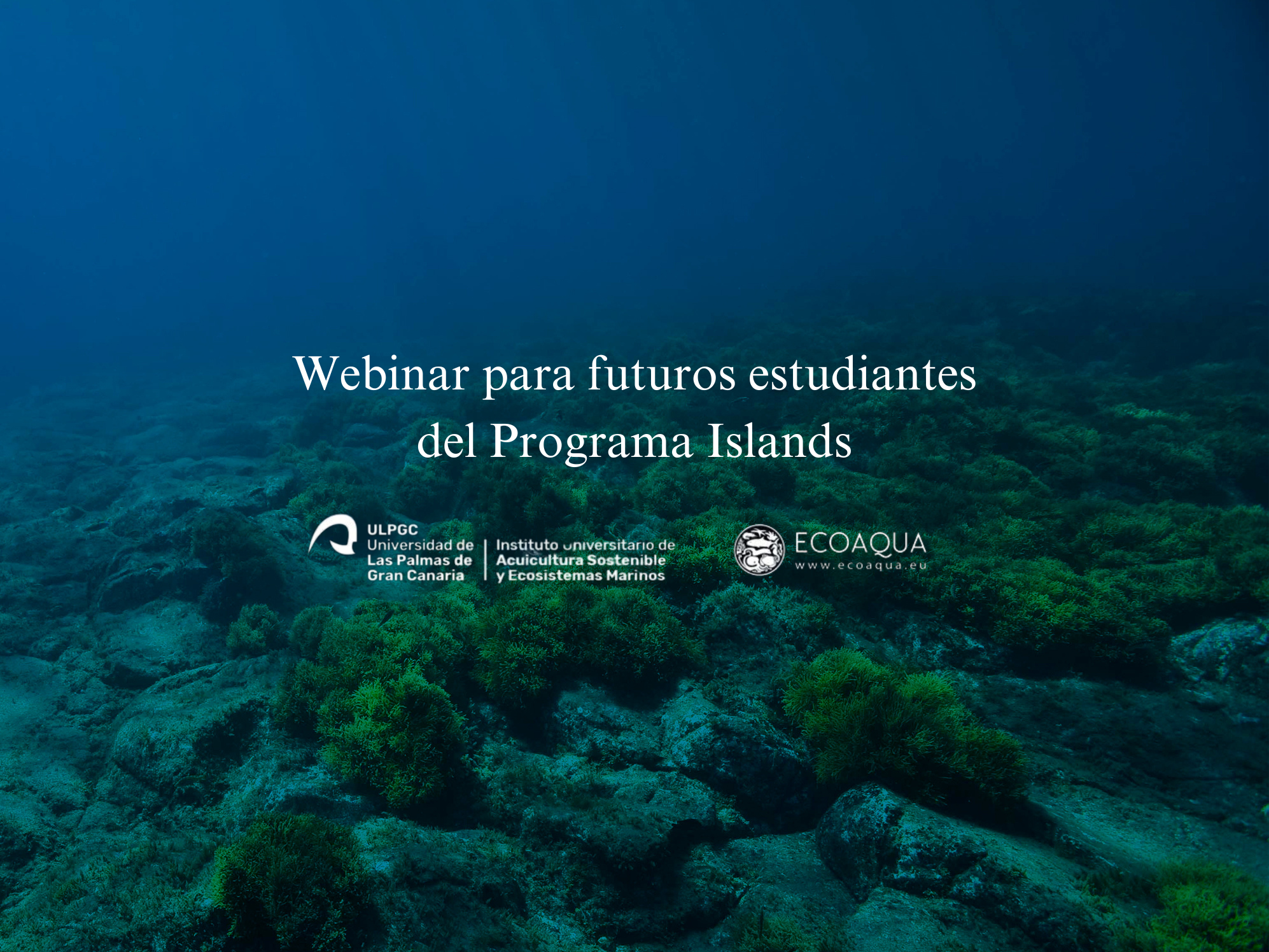 Webinar for future students of the Islands Program