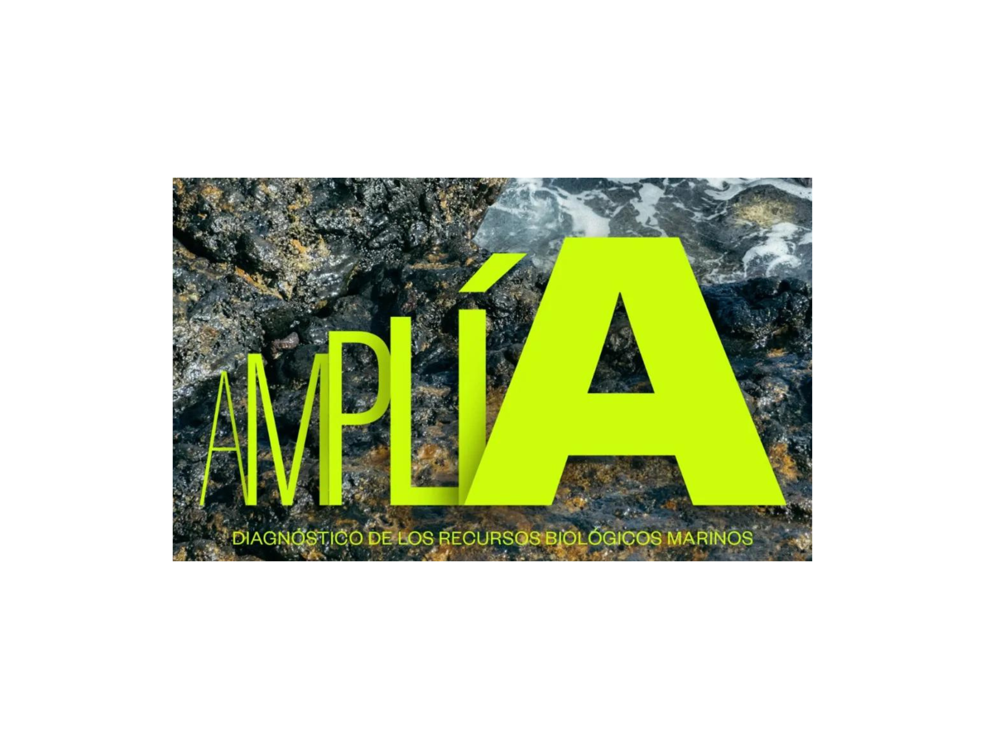 Presentación del Proyecto AMPLIA en Lanzarote