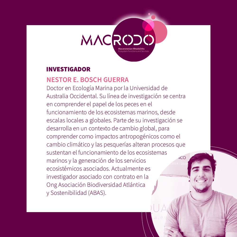 ESP_MacRodo_Investigadores_Nestor