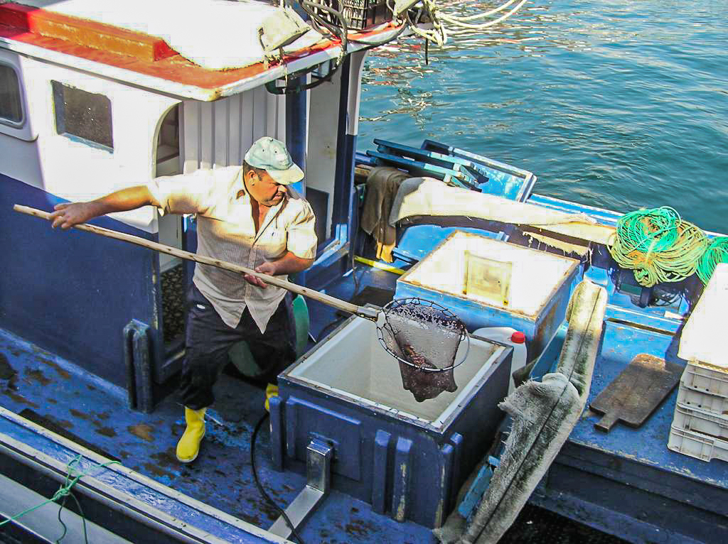 Pescador-local-en-su-barco-tras-atracar